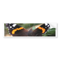 Red Admiral Butterfly Bumper Sticker