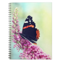 Red Admiral Butterfly Journal