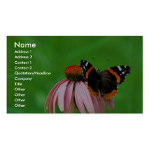 Red admiral on Purple coneflower Business Cards