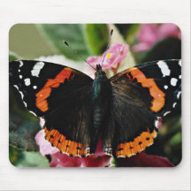 Red admiral, Vanessa atalanta  flowers Mousepad