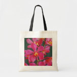 Red An orchid hybrid flowers Tote Bags
