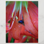 Red And Blue Personalized Flyer