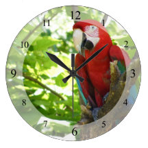 Red and Gold Macaw Clock
