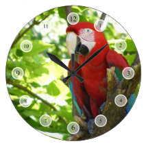 Red and Gold Macaw Clock