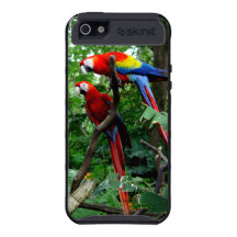 Red and Gold Macaws