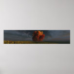 Red and Gold (Triple Wide) Posters