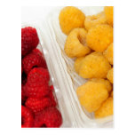 Red And Golden Raspberries Postcards