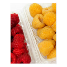 Red And Golden Raspberries Postcards