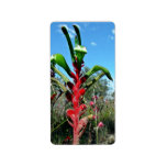 Red and green kangaroo paw flower personalized address label