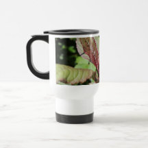 Red and Green Leafy Plant. Mug