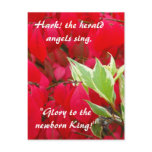 Red and Green Leaves postcards