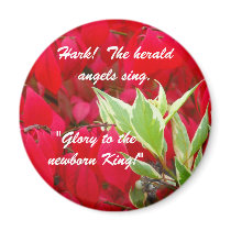 Red and Green Refrigerator Magnet