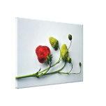 Red and Green Strawberries Stretched Canvas Print