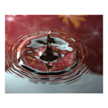 Red and Orange Flowers Water Drop Photo Print