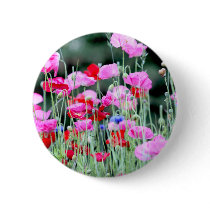 Red and Pink Poppies