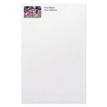 Red and Pink Poppies Stationery