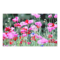 Red and Pink Poppies Rectangular Sticker