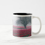 Red and pink tulips greet the day on a misty mug