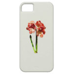 Red and White Amaryllis With Bud iPhone 5 Cover