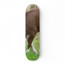 Red And White Calf On Grass Skateboard Decks