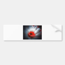 Red and White Flower Bumper Stickers