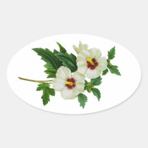 Red and White Hibiscus by Pierre Joseph Redoute Sticker