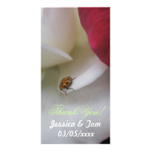 Red and White Ladybug Petals Wedding Photo Card Template