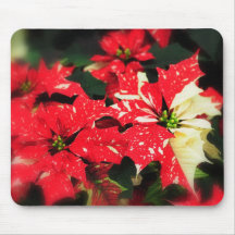 Red and White Poinsettas Mousepads