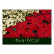 Red and White Poinsettias Holiday Card