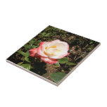 Red And White Rose Ceramic Tiles