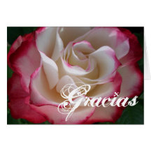 Red and White Rose Gracias Greeting Cards