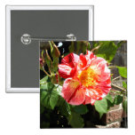 Red And White Rose Pins