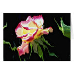 Red and white rose, water glass blue color duplica card