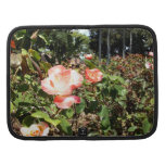 Red And White Roses Planners