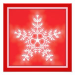 Red and White Star Snowflake Photo
