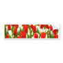 Red and White Tulips Bumper Sticker