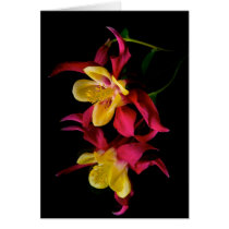 Red and yellow columbine flower greeting cards