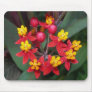 Red and yellow flower mousepad (butterfly weed)