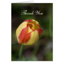 Red And Yellow Flower Thank You Card