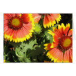 Red and Yellow Flowers Greeting Card