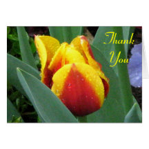 red and yellow tulip thank you note card