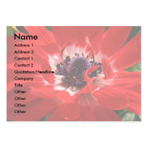 Red Anemone Business Card