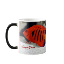 Red Angel Fish Morphing Mug