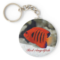 Red Angelfish Keychain