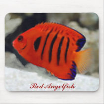 Red Angelfish Mousepad