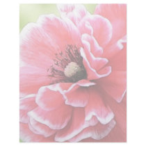 Red Angel's Choir Poppy