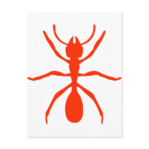 red ant postcards