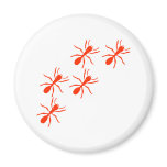 red ant trail magnets