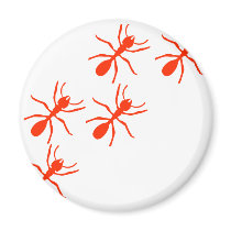 red ant trail fridge magnet