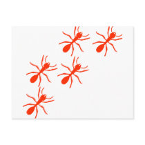 red ant trail postcard